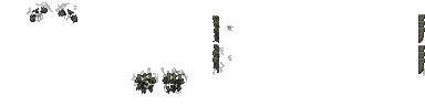 https://idb2.affectedarc07.co.uk/images/26391061/11666/17302706478356800983.png