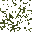https://idb2.affectedarc07.co.uk/images/26391061/11666/6716480585214911547.png