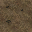https://idb2.affectedarc07.co.uk/images/26391061/11666/9768251824602719929.png