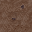 https://idb2.affectedarc07.co.uk/images/26391061/12464/16564559267595018806.png