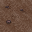 https://idb2.affectedarc07.co.uk/images/26391061/12464/939609063740995430.png