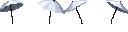 https://idb2.affectedarc07.co.uk/images/42476729/5785/16761951590332723651.png