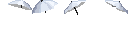 https://idb2.affectedarc07.co.uk/images/42476729/5785/8776558630836704913.png