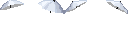 https://idb2.affectedarc07.co.uk/images/42476729/5785/997220432363415066.png