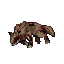 https://idb2.affectedarc07.co.uk/images/83244909/489/17336656103510067510.png