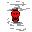 https://idb2.affectedarc07.co.uk/images/83244909/987/5638941432086422774.png